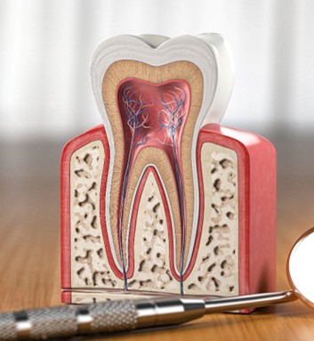 Model of anatomy of tooth on desk next to dental mirror
